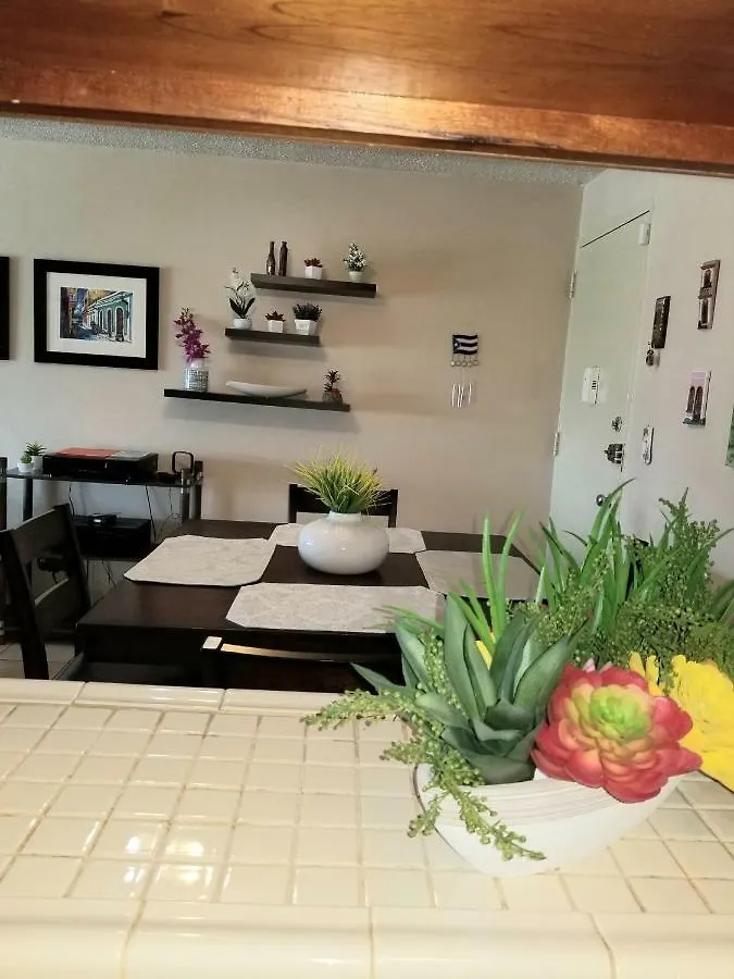 Amazing Beachfront Apartment In Isla Verde San Juan